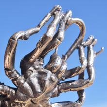 Tarantula Chain
