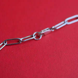 Stainless Chain